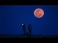 Photos Of The Day Blood Moon Rises In Shanghai April 15 2014