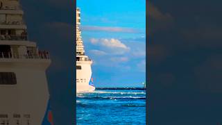 Norwegian Encore 🛳️ #like #share #comment #subscribe #cruiseship #cruise #vacation #shorts #short