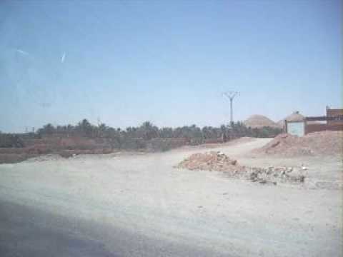 Algerie 2009 - El Golea - La Chech'ktonik