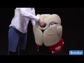 Cybex "Solution Q2-Fix" automobilinė kėdutė 15-36 kg