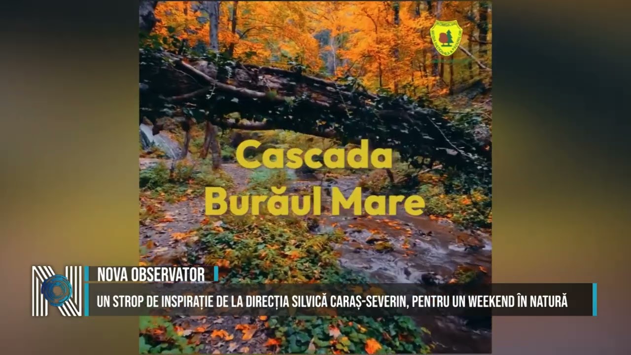 Un strop de inspirație de la Direcția Silvică Caraș-Severin, pentru un weekend în natură