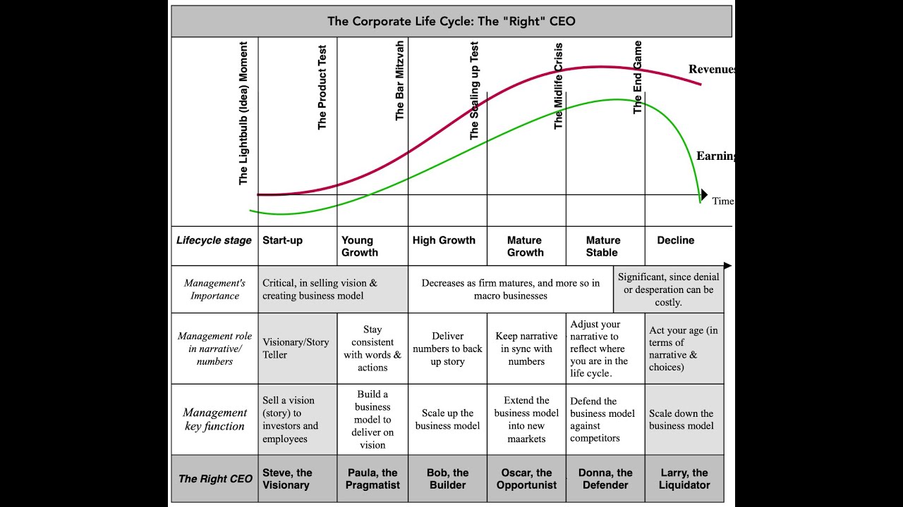Facebook (Meta) Lesson 1: Corporate Governance - The What, Why and What now?