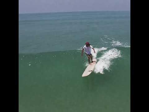 Love to Surf, Surf the Love