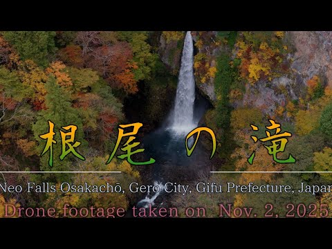 秘境「根尾の滝」の紅葉-秋彩る渓谷と滝の絶景空撮-Autumn Colors at Neo Falls, Gifu｜Aerial View of Japan’s Hidden Gem