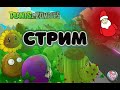 Стрим Стрим