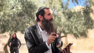 ח' בתשרי • יום חנוכת המקדש וירידת אש מהשמים | הרב אלישע וולפסון (ישיבת הר הבית) - התמונה מוצגת ישירות מתוך אתר האינטרנט יוטיוב. זכויות היוצרים בתמונה שייכות ליוצרה. קישור קרדיט למקור התוכן נמצא בתוך דף הסרטון ח' בתשרי • יום חנוכת המקדש וירידת אש מהשמים | הרב אלישע וולפסון (ישיבת הר הבית) - התמונה מוצגת ישירות מתוך אתר האינטרנט יוטיוב. זכויות היוצרים בתמונה שייכות ליוצרה. קישור קרדיט למקור התוכן נמצא בתוך דף הסרטון