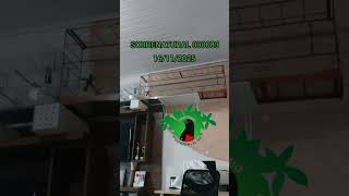 SOBRENATURAL 000083 - BIG C 478 X BIGCESINHA 257 - (88 SAMARITAS)