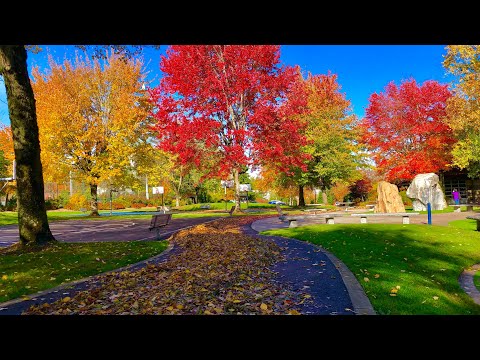 Fall Foliage in Washington | Beautiful Washington | Part 1
