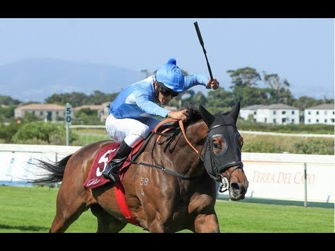 Cartier Paddock Stakes (G1)  2019 -  Oh Susanna