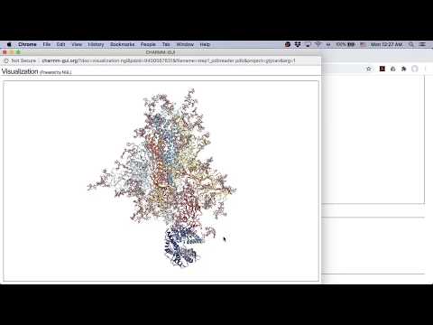 SARS-CoV-2 S protein: Building a fully-glycosylated SARS-CoV-2 S in complex with ACE2
