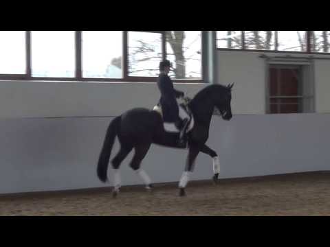 DON NOBLESS & Susan Pape