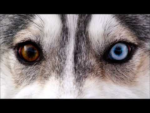 OLAF PRP prod. DIDKER - Druga Świadomość (Official Audio)