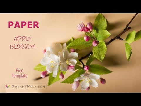 How to make paper apple blossom from facial tissue, free template