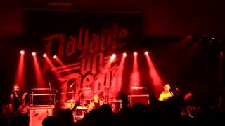 Coconut Dracula Islander live 7/11