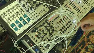 Video thumbnail for Baseck shows off Loquelic Iteritas Percido by Noise Engineering
