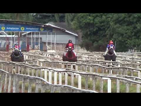 I GP JOAQUIM PAVOSKI DAPPER - 450M - 3 ELIMINATION ROUND - CARAZINHO - NACHOS