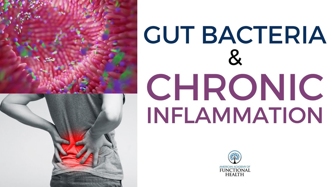 Gut Bacteria and Chronic Inflammation