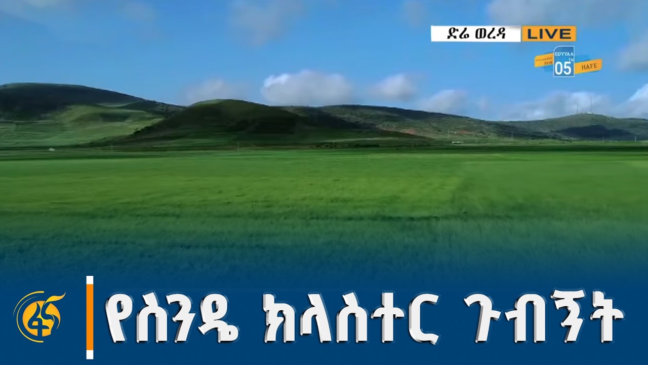 ጠቅላይ ሚኒስትር ዐቢይ አሕመድ (ዶ/ር) በቦረና ዞን ድሬ ወረዳ ያደረጉት የስንዴ ክላስተ