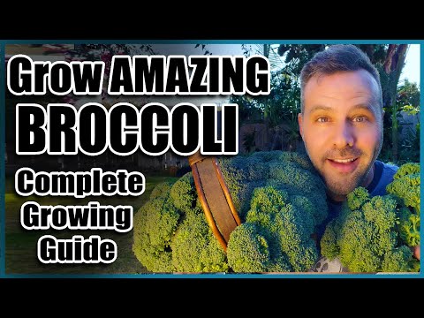 , title : 'How to Grow Broccoli - Complete Guide - Seed to Harvest