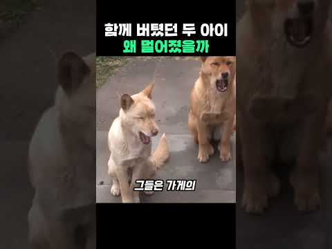 함께 버텼던 두 아이, 왜 멀어졌을까