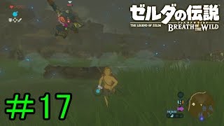 【実況】見落としが多い勇者の冒険part17【ブレスオブザワイルド】