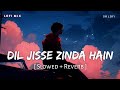 Dil Jisse Zinda Hain Lofi Mix Slowed Reverb Jubin Nautiyal SR Lofi