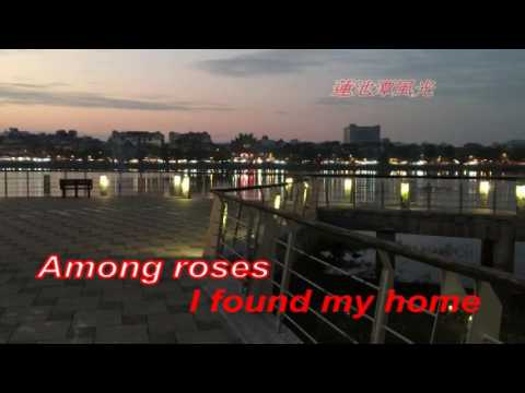 Smells of roses-Sofia Kallgren-KARAOKE及KTV 伴唱字幕影音