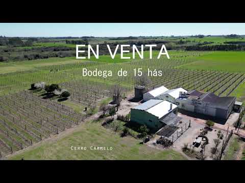 Bodega 15 hectáreas en Carmelo - Daniel Oviedo Propiedades