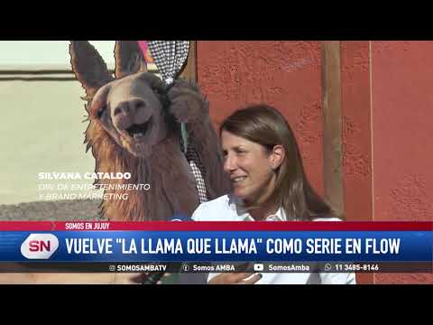 VOLVIÓ LA LLAMA QUE LLAMA  #flow