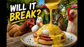 I Spent 10 Years Perfecting My Hollandaise Sauce Recipe and Here's What I Learned