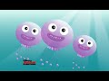 Disney Junior On Disney Channel Commercial Break September 27 2013