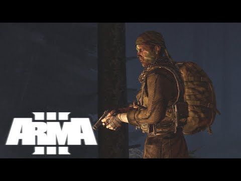 Arma 3 in 2020
