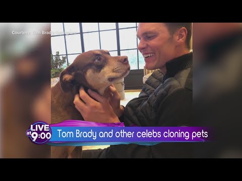 Coffee With Corie Cloning Pets, Starbucks Holiday Buzz and New Google Maps Features