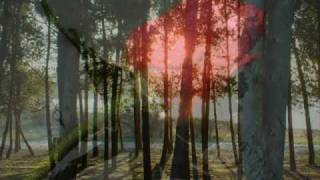 Nerina Pallot - Damascus