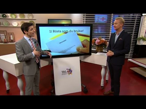 Sista minuten-tips för osäkra väljare - Nyheterna (TV4)