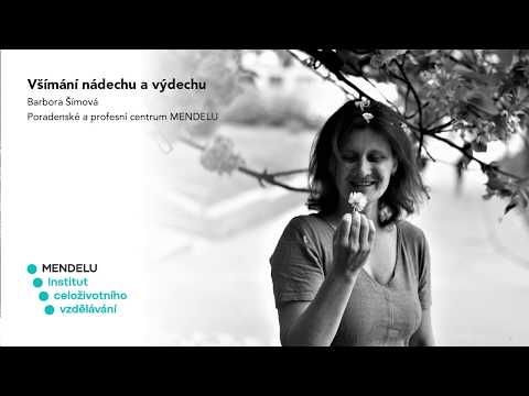 Všímání nádechu a výdechu