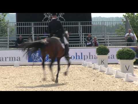 Peterhof Dressur Gala 2015 - Hubertus Schmidt mit Estobar NRW - FEI Intermediaire B