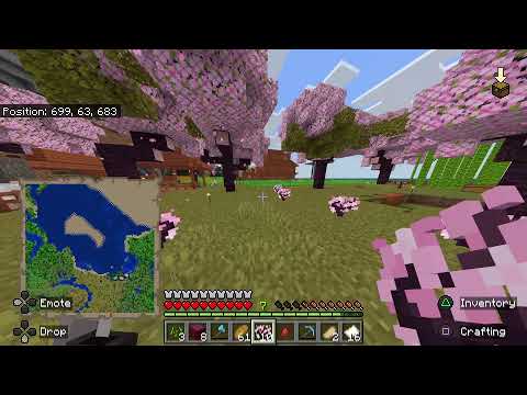 Unbelievable! This PS5 Minecraft Player is INSANE!