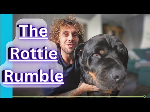 Explained in 2 Minutes - The Rottie Rumble