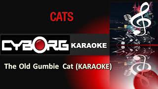 FUA - CATS MUSICAL - The Old Gumbie Cat KARAOKE