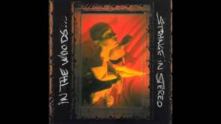 IN THE WOODS... - Strange In Stereo (Full Album) | 1999 |