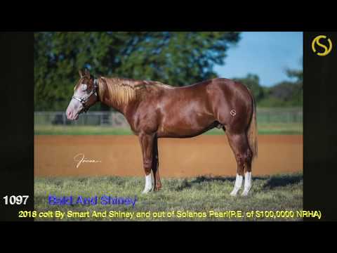 19 Bald And Shiney 1097