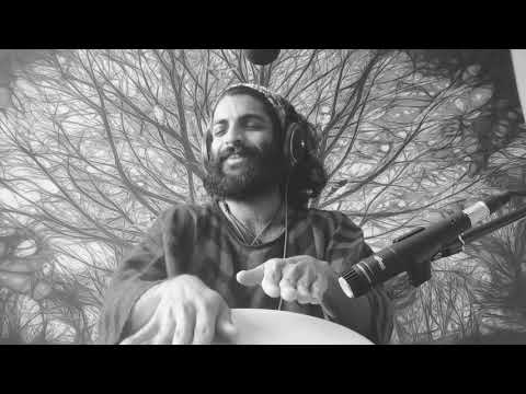 Bring Me Light (Lockdown Sessions) - Sleep Walking Animals