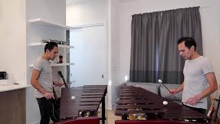 Video thumbnail for Mtech Marimba Demo - Two Ivans by Malletech, Inc.