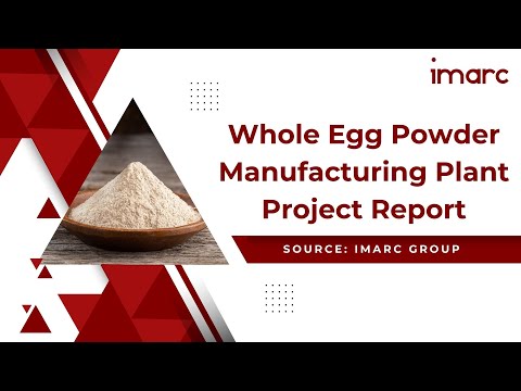 How to Setup a Whole Egg Powder Manufacturing Plant: Detailed Report 2025