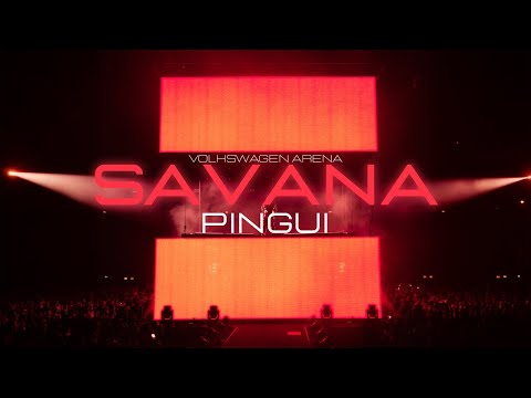 PİNGUİ / SAVANA - FAENA / Live @VWArena