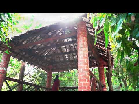 Drone video