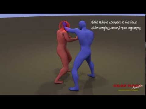 Self Defense - Inside Defense Against a Straight Punch