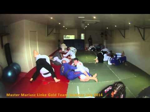 Master Mariusz Link Seminar 2014