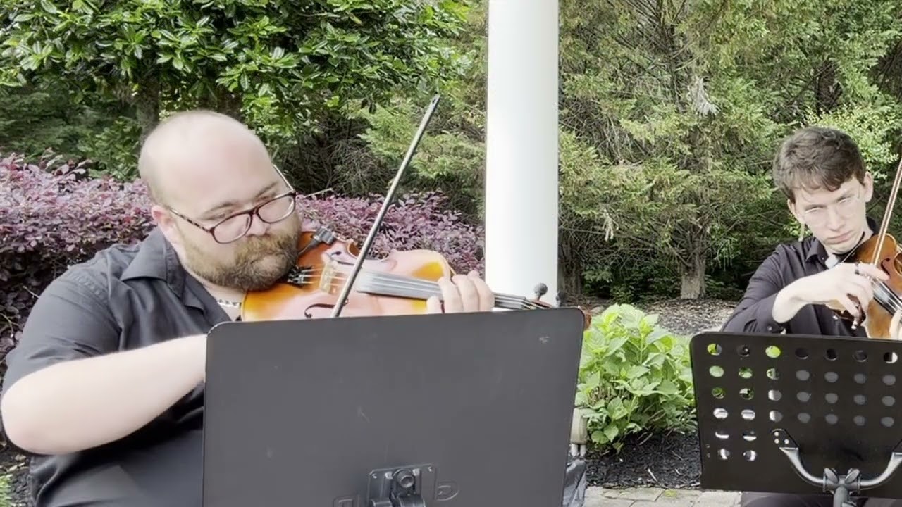 Promotional video thumbnail 1 for AP Strings
